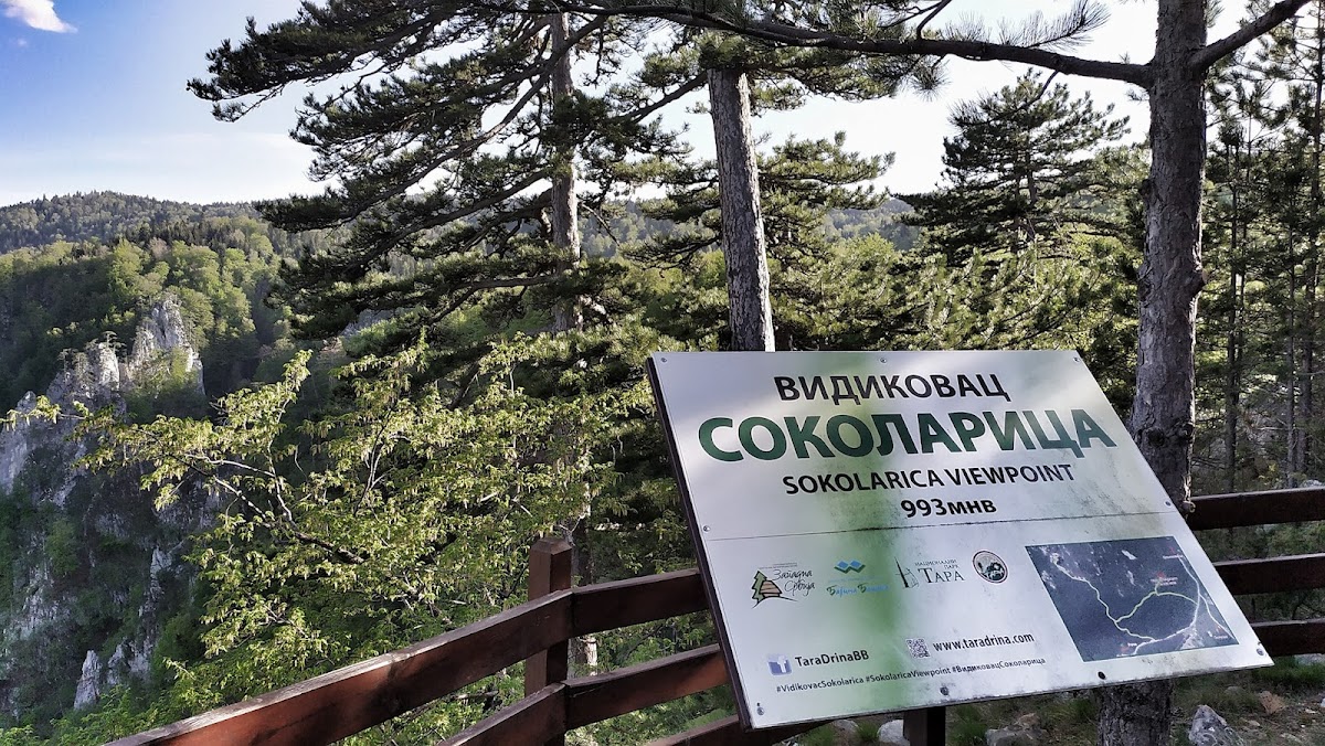 Vidikovac Sokolarica — fotografija