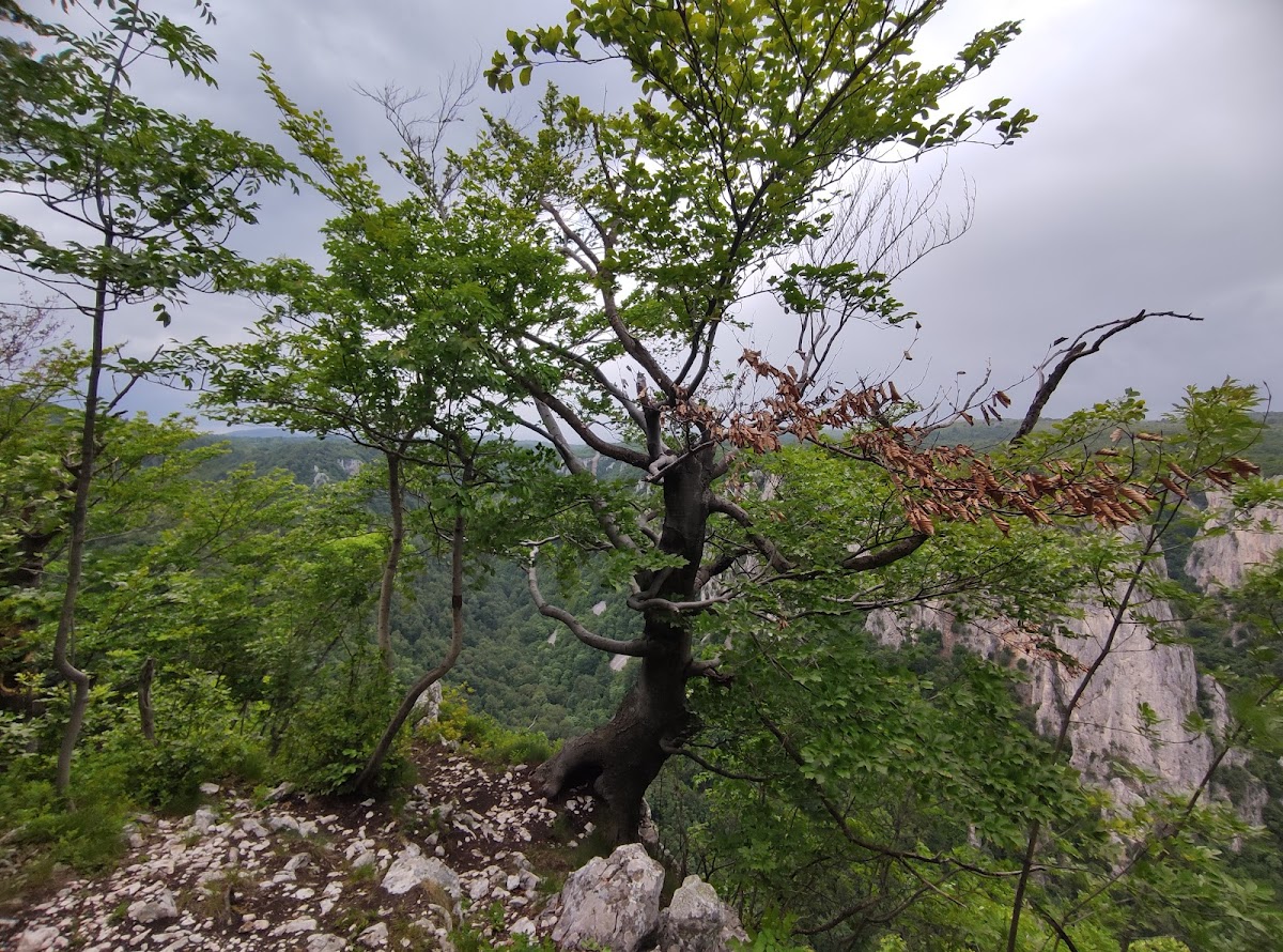 Смотровая площадка Буква — фото