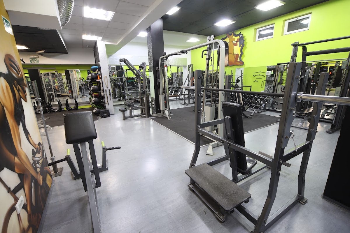 Ozzy gym — photo