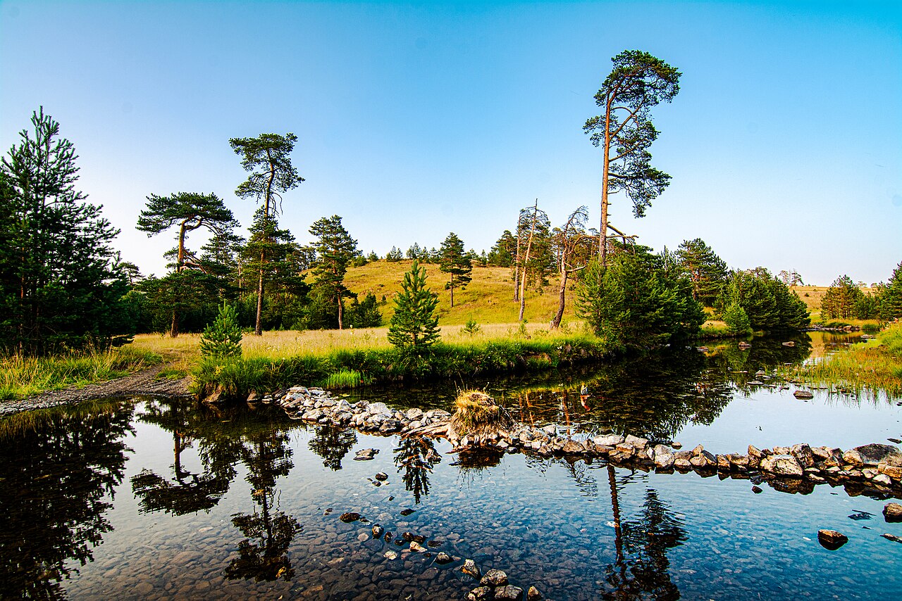 Camping — Zlatibor — photo