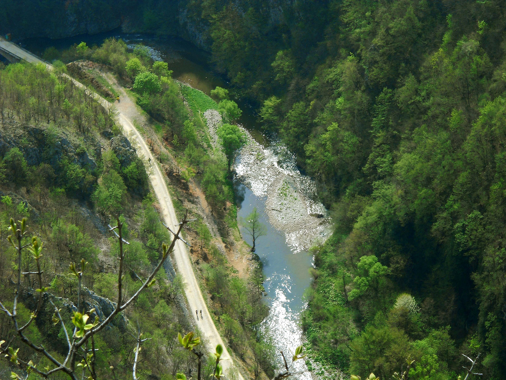 Djetinja river gorge — photo