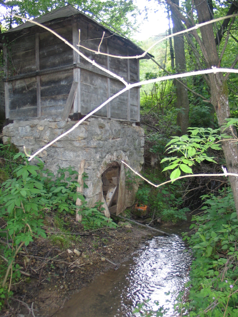 Medvednik — photo