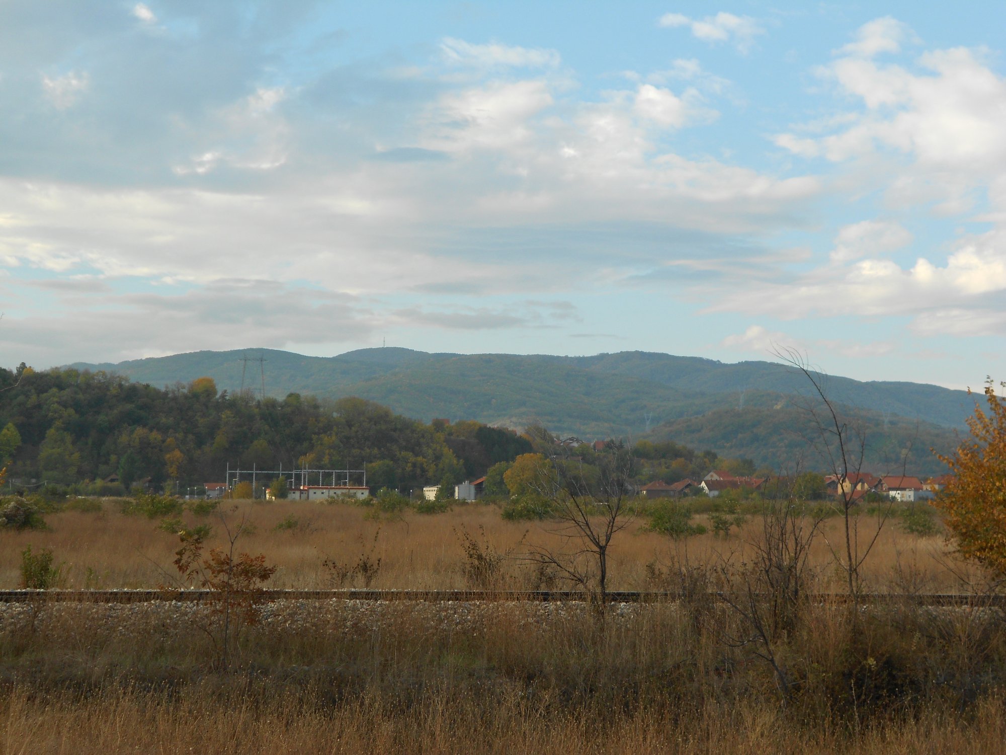 Selicevica — photo