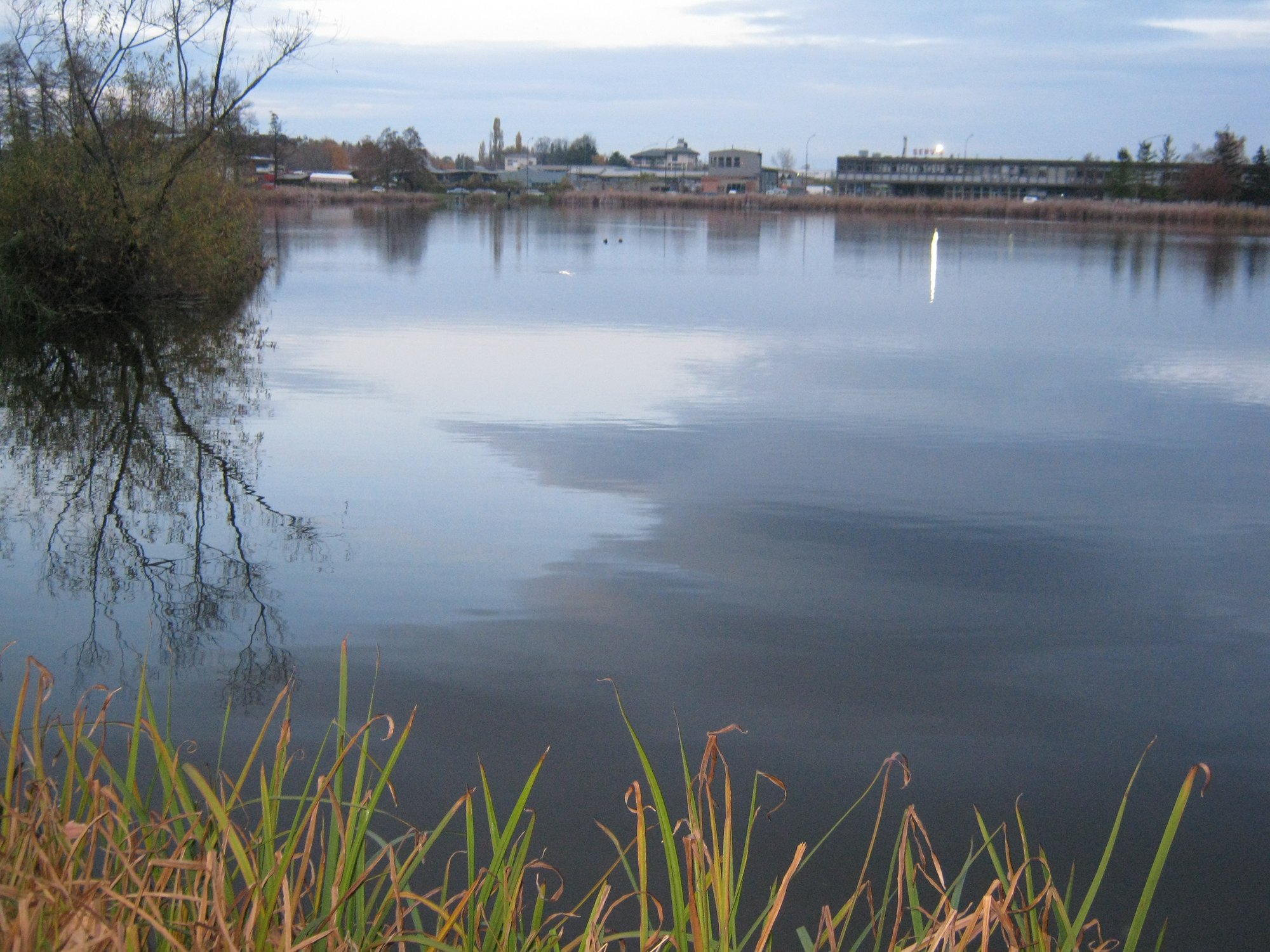 Bubanj Lake — photo