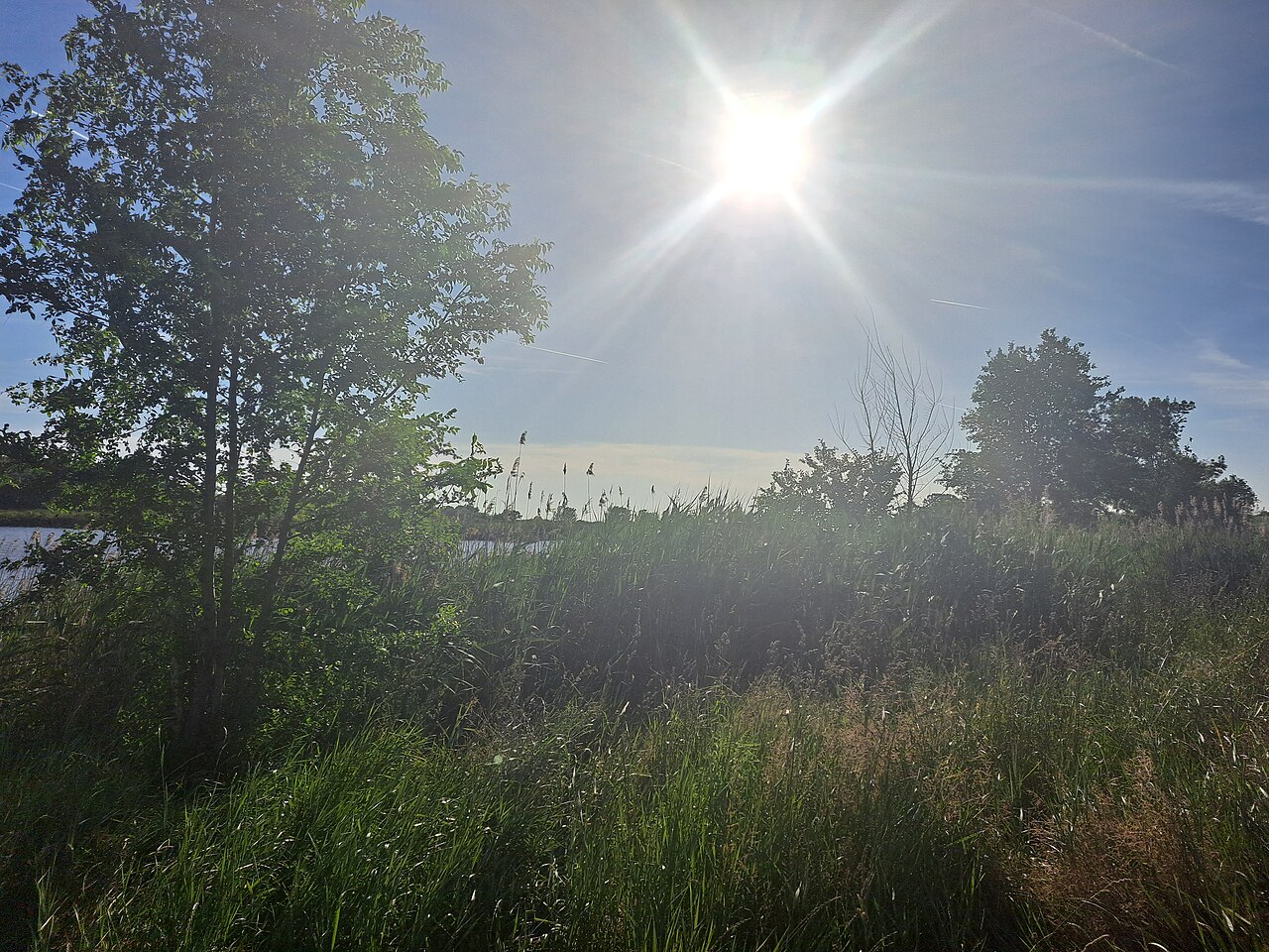 Kraljevac — fotografija