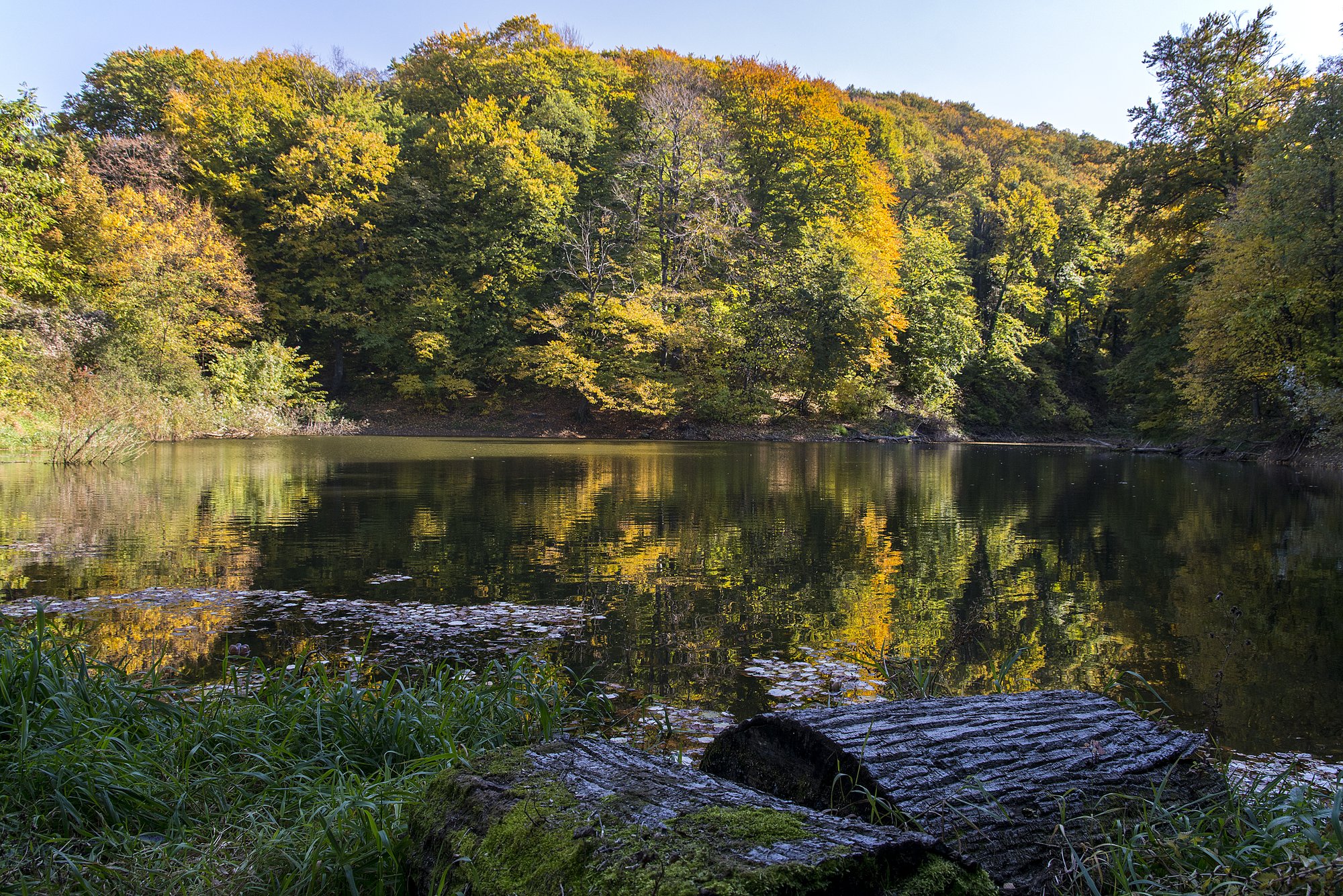 Nacionalni park Fruška gora — fotografija
