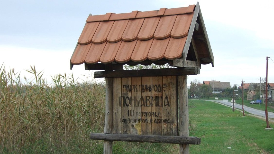 Ассоциация любителей природного парка Поньявица — фото