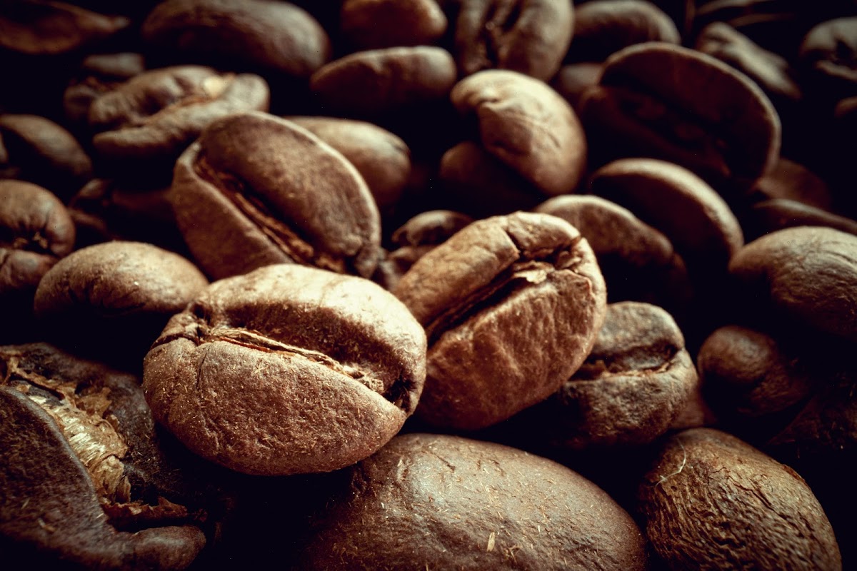 Freeshka Coffee Co. — fotografija