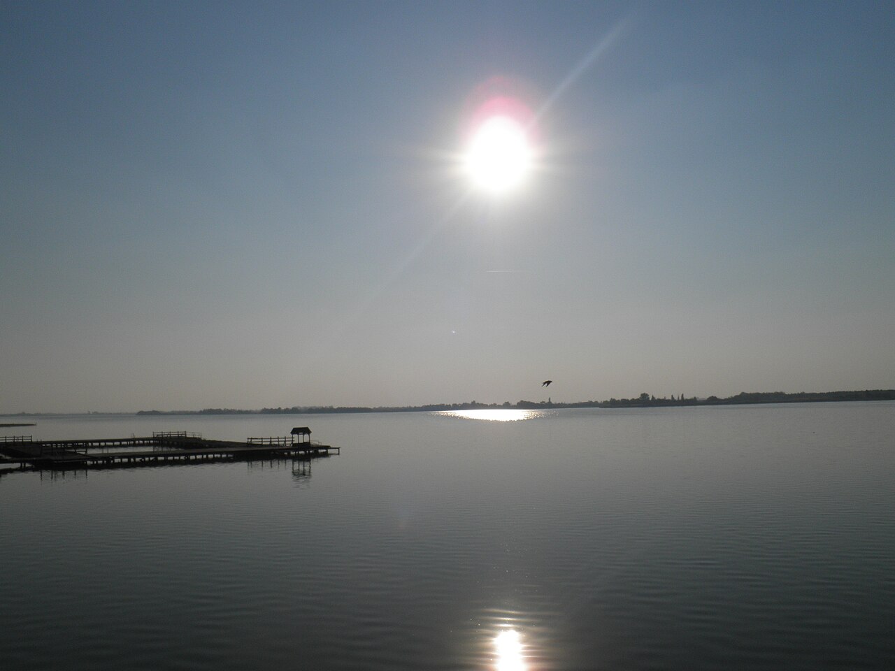 Palić (Palićko jezero) — фото