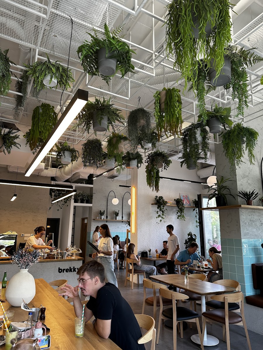 Brekky — photo