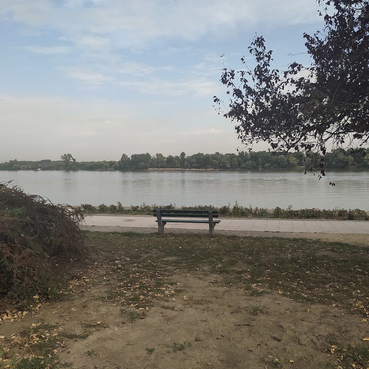 Београдски тркачки клуб — фото