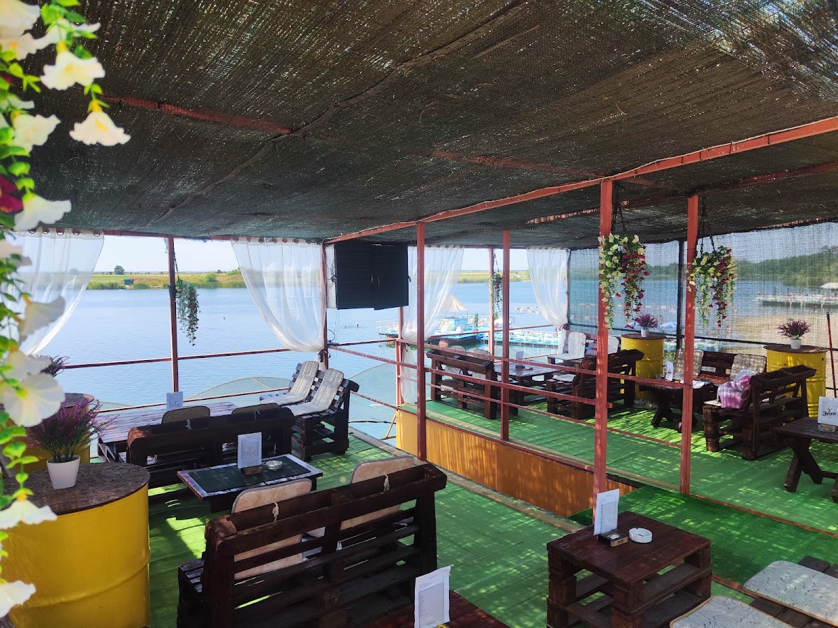 Golden bar — photo