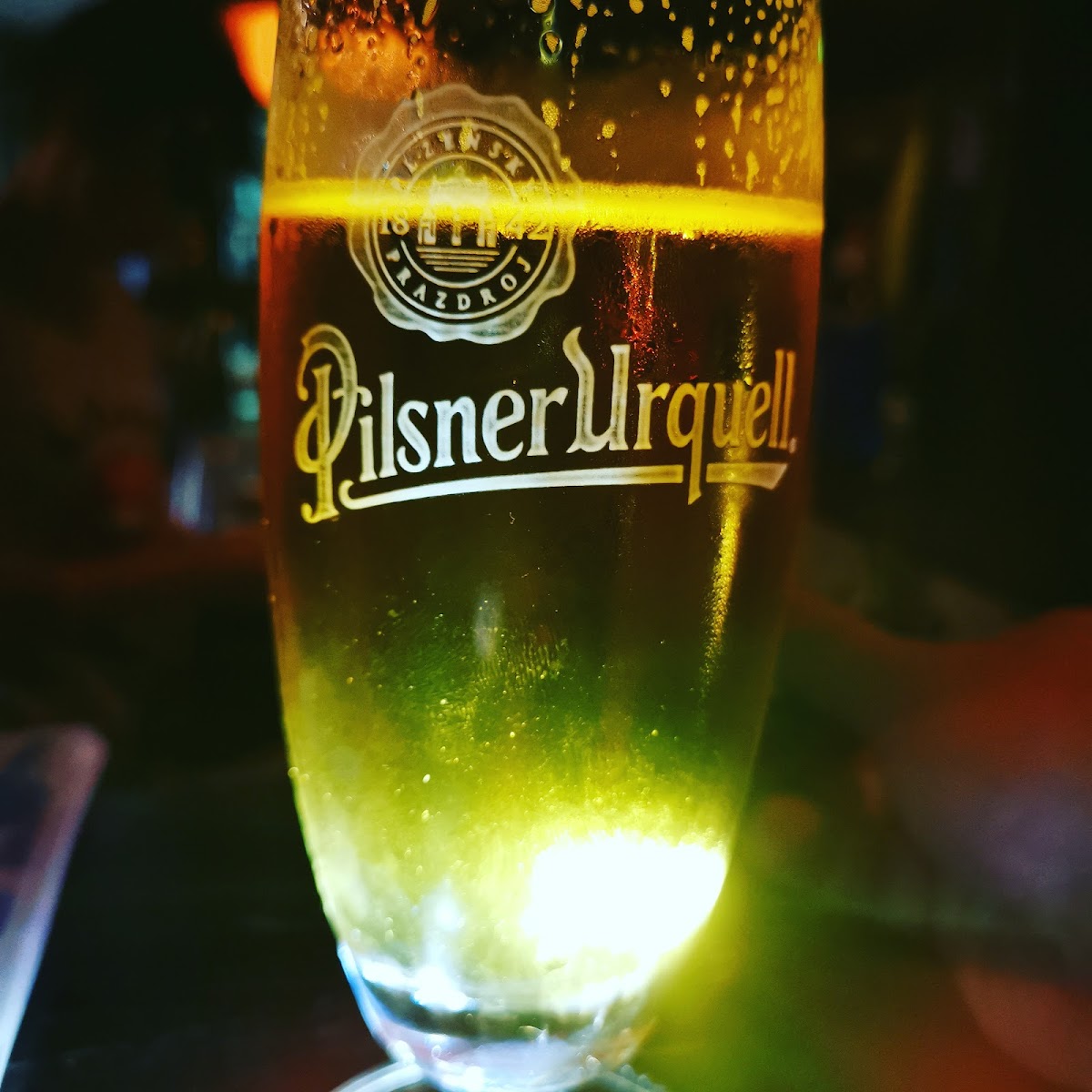 Duck Bar — fotografija