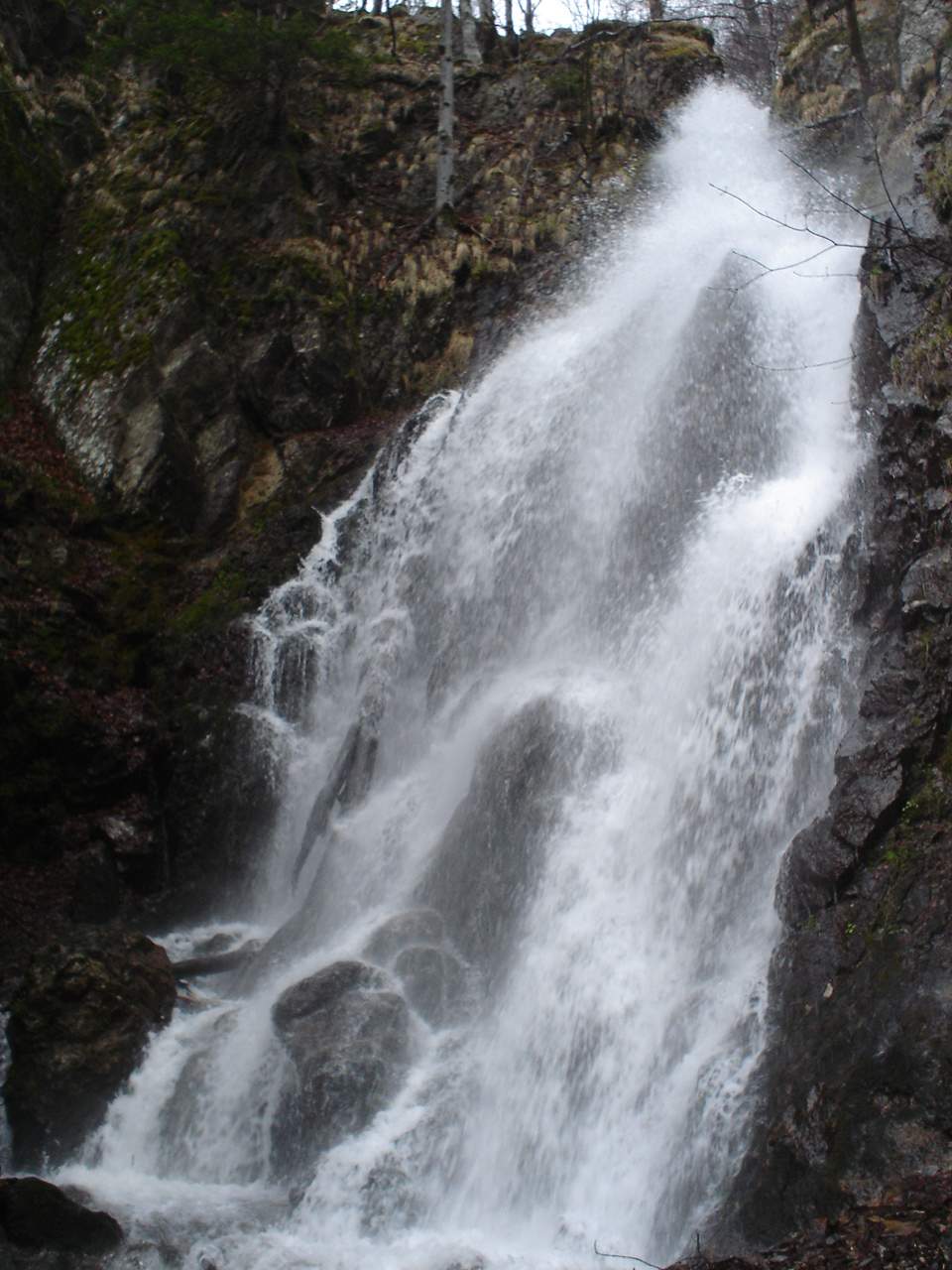 Jelovarnik — photo
