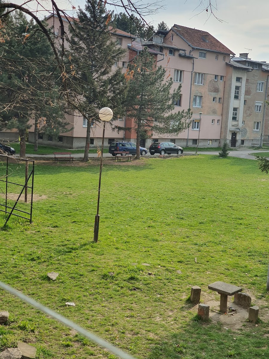 Park Milivoja Bjelica — photo