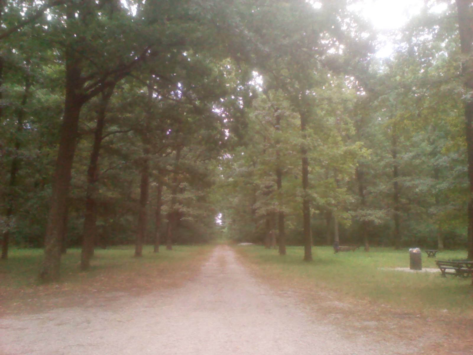 Nature monument Rogot — photo