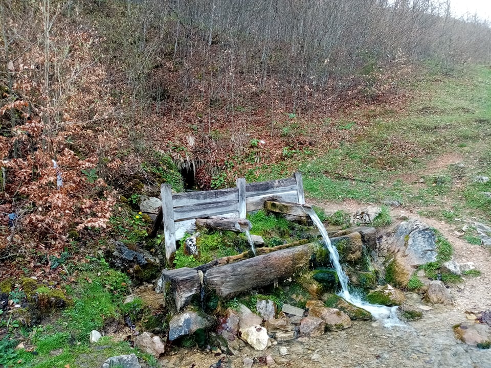 Промуклица — фото
