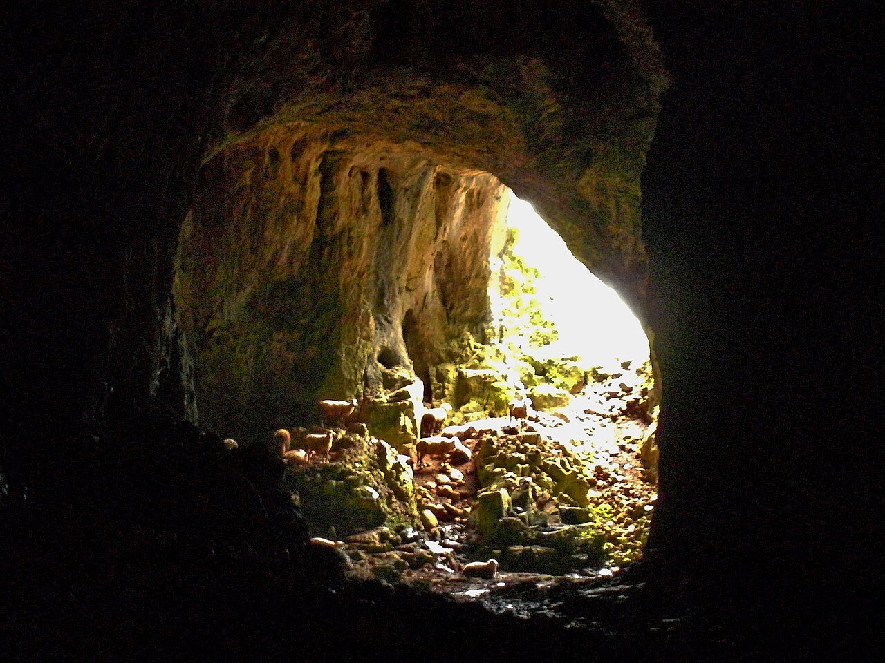 Godovska cave — photo