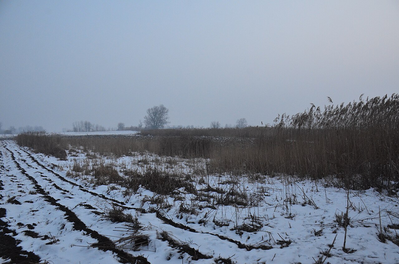 SRP Brzansko Moravište — fotografija