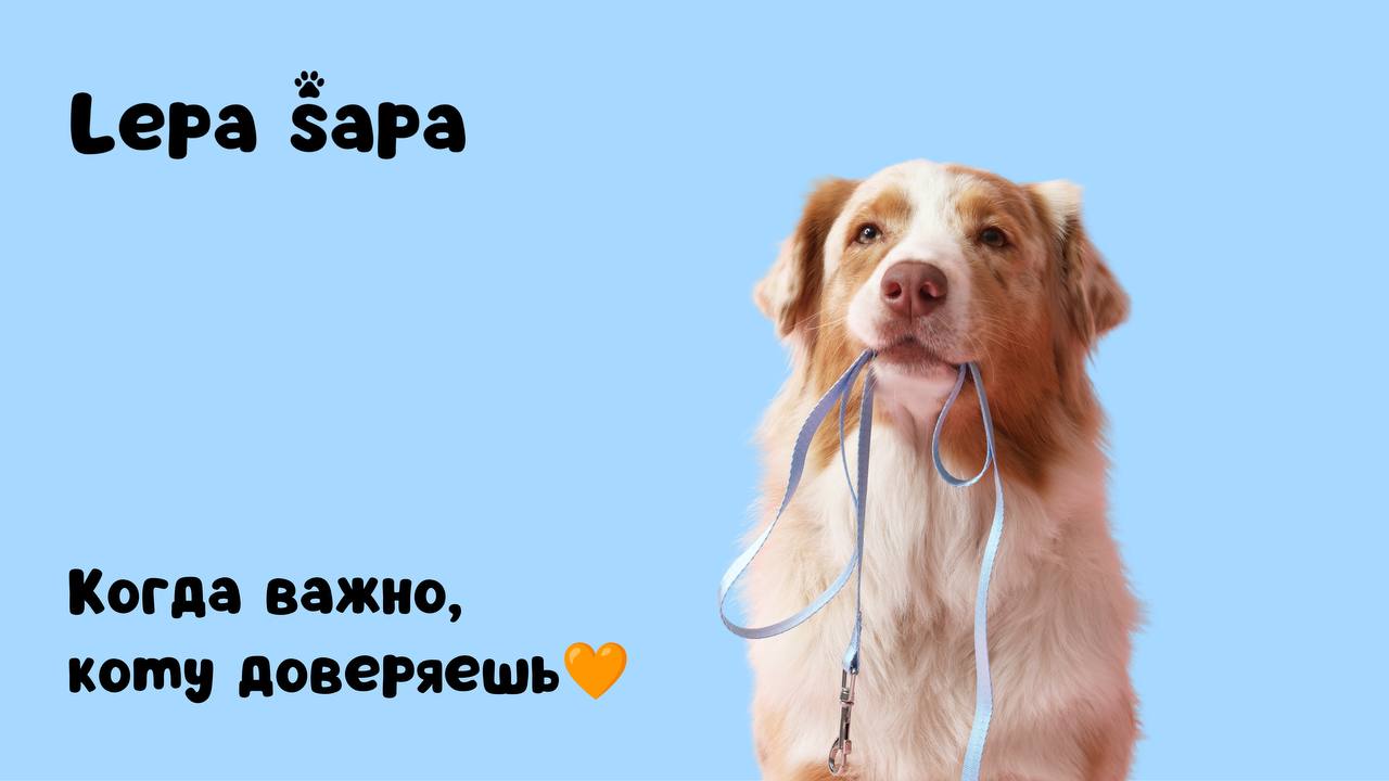 Услуги по уходу за питомцами (выгул,