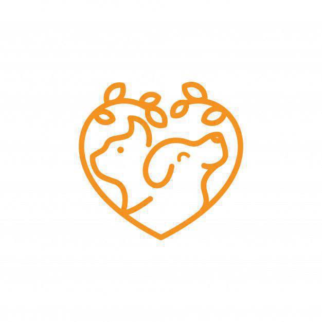 li
