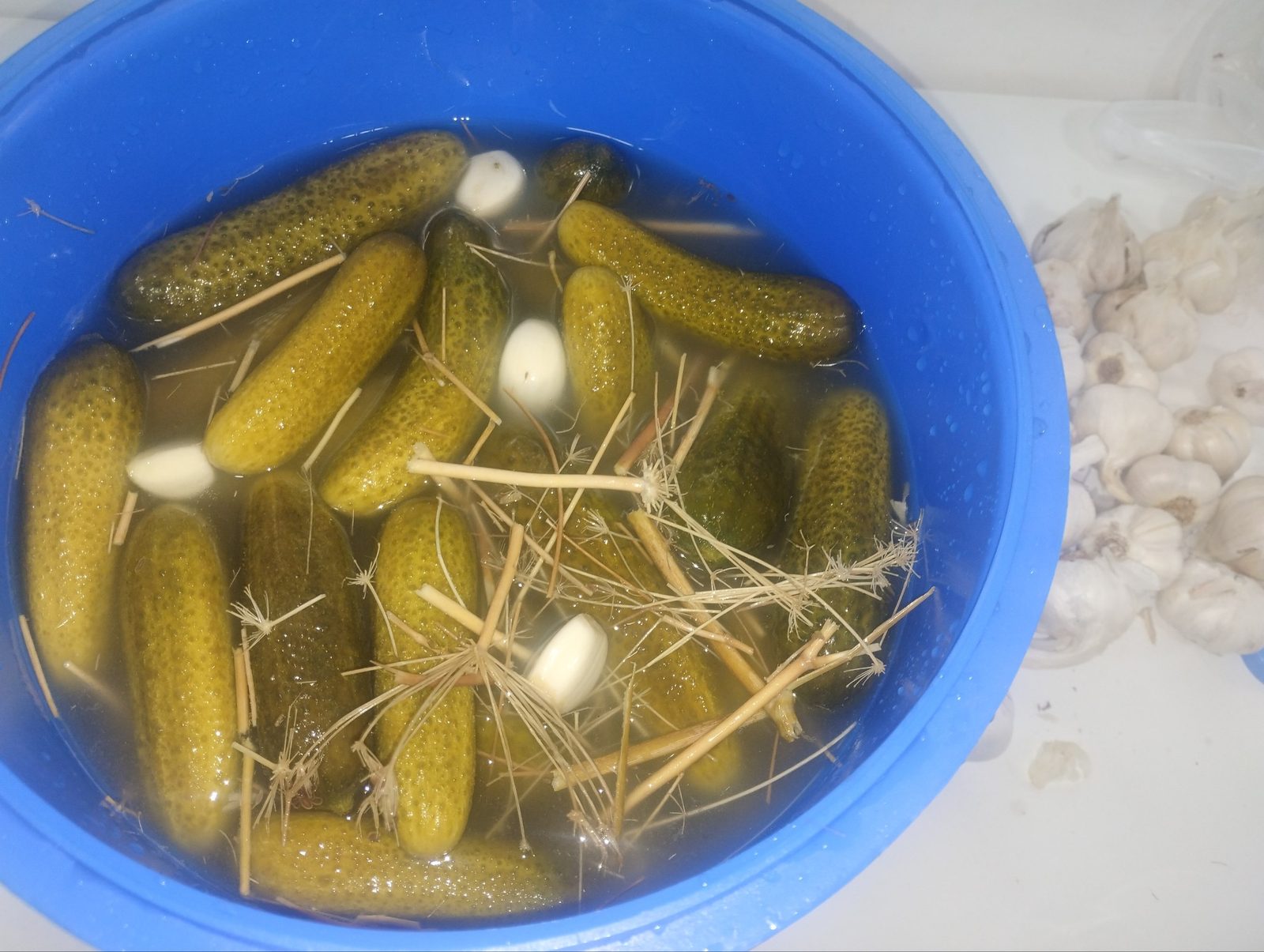 Продажа готовой еды и полуфабрикатов (салаты, мясные деликатесы, блюда, заморозка) в Пьяцк — фото